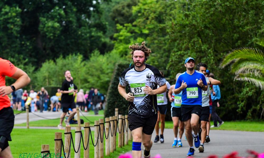 Kew the Run 2025 WWF